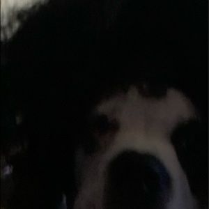 Meet your Posher, Bianca